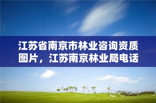 江苏省南京市林业咨询资质图片,江苏南京林业局电话号码