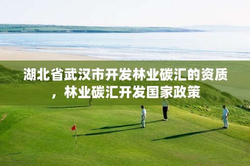 湖北省武汉市开发林业碳汇的资质,林业碳汇开发国家政策