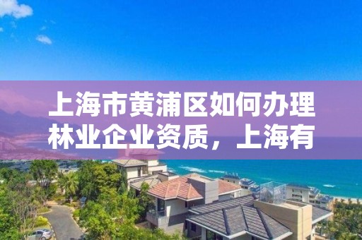 上海市黄浦区如何办理林业企业资质,上海有没有林业局