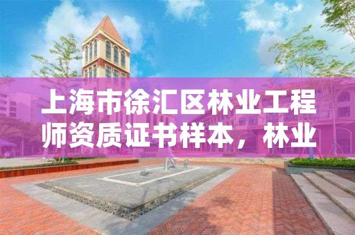 上海市徐汇区林业工程师资质证书样本,林业工程师资格证报考条件
