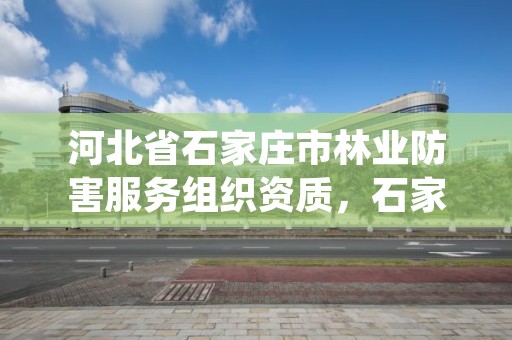 河北省石家庄市林业防害服务组织资质，石家庄林业局招标公告