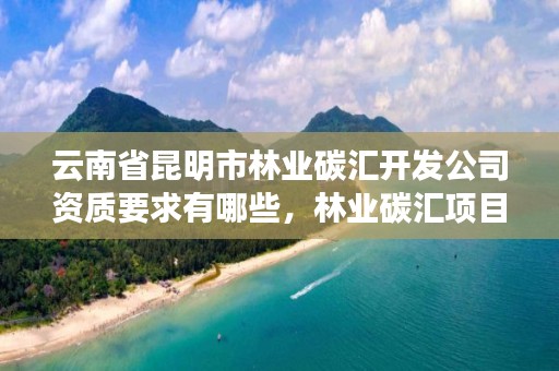 云南省昆明市林业碳汇开发公司资质要求有哪些,林业碳汇项目公司