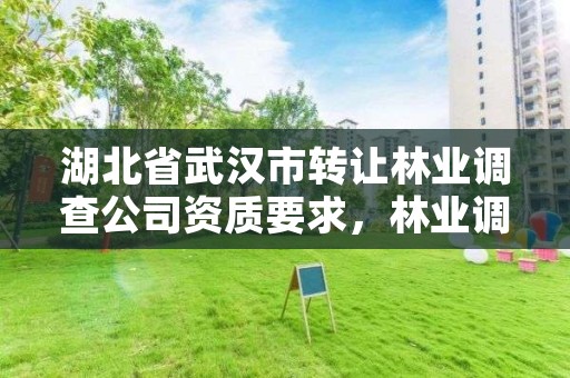 湖北省武汉市转让林业调查公司资质要求,林业调查公司干什么的