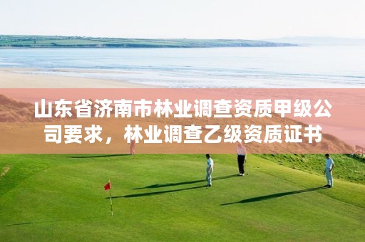 山东省济南市林业调查资质甲级公司要求,林业调查乙级资质证书