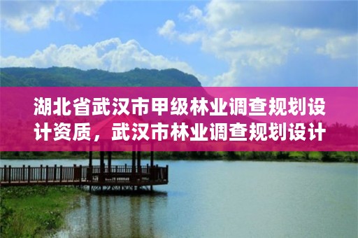 湖北省武汉市甲级林业调查规划设计资质,武汉市林业调查规划设计院有限公司