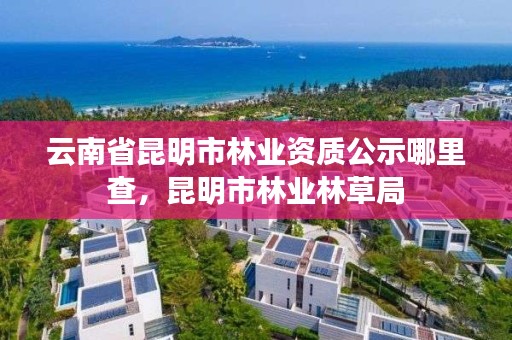 云南省昆明市林业资质公示哪里查,昆明市林业林草局