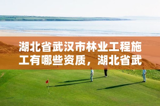 湖北省武汉市林业工程施工有哪些资质,湖北省武汉市林业工程施工有哪些资质公司