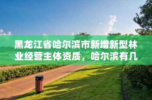 黑龙江省哈尔滨市新增新型林业经营主体资质,哈尔滨有几个林业局