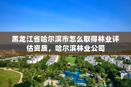 黑龙江省哈尔滨市怎么取得林业评估资质,哈尔滨林业公司