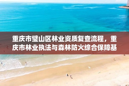 重庆市璧山区林业资质复查流程,重庆市林业执法与森林防火综合保障基地项目