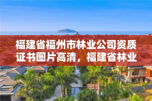 福建省福州市林业公司资质证书图片高清，福建省林业局官网招聘