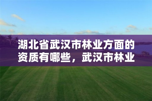 湖北省武汉市林业方面的资质有哪些,武汉市林业集团有限公司