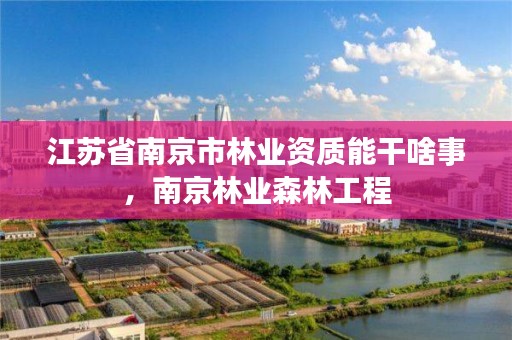 江苏省南京市林业资质能干啥事，南京林业森林工程