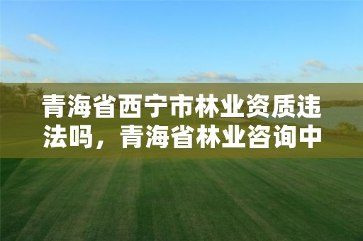 青海省西宁市林业资质违法吗，青海省林业咨询中心