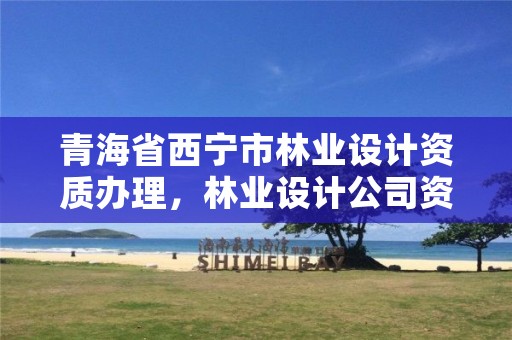 青海省西宁市林业设计资质办理，林业设计公司资质怎么办