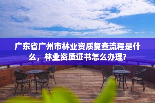 广东省广州市林业资质复查流程是什么，林业资质证书怎么办理?