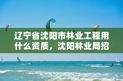 辽宁省沈阳市林业工程用什么资质,沈阳林业局招聘公告