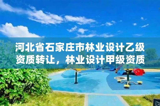 河北省石家庄市林业设计乙级资质转让,林业设计甲级资质