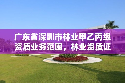 广东省深圳市林业甲乙丙级资质业务范围，林业资质证书丙级