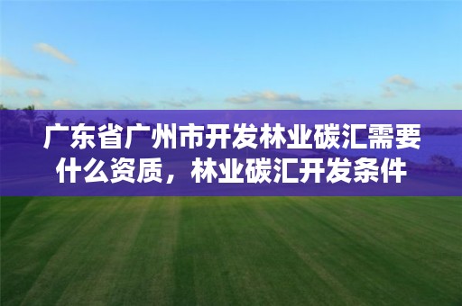 广东省广州市开发林业碳汇需要什么资质，林业碳汇开发条件