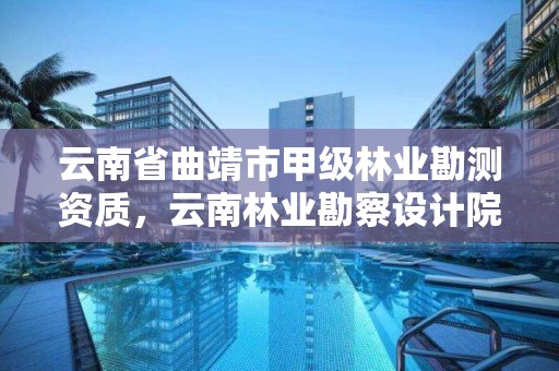 云南省曲靖市甲级林业勘测资质,云南林业勘察设计院有限公司