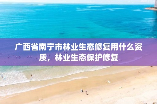 广西省南宁市林业生态修复用什么资质,林业生态保护修复