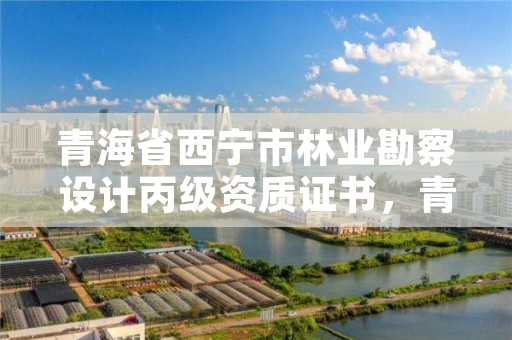 青海省西宁市林业勘察设计丙级资质证书,青海省林业勘察设计院