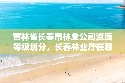 吉林省长春市林业公司资质等级划分,长春林业厅在哪里