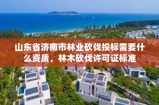 山东省济南市林业砍伐投标需要什么资质,林木砍伐许可证标准