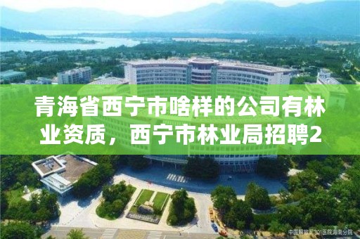 青海省西宁市啥样的公司有林业资质，西宁市林业局招聘2020年
