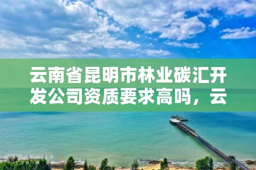 云南省昆明市林业碳汇开发公司资质要求高吗,云南林业碳汇资源开发项目
