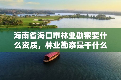 海南省海口市林业勘察要什么资质,林业勘察是干什么的