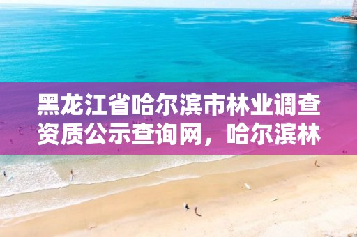 黑龙江省哈尔滨市林业调查资质公示查询网,哈尔滨林业局