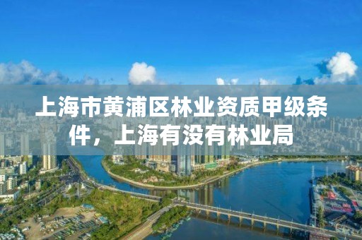 上海市黄浦区林业资质甲级条件,上海有没有林业局