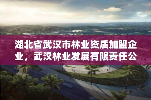 湖北省武汉市林业资质加盟企业,武汉林业发展有限责任公司