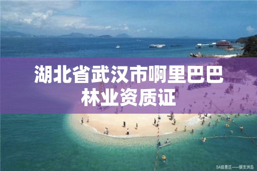 湖北省武汉市啊里巴巴林业资质证