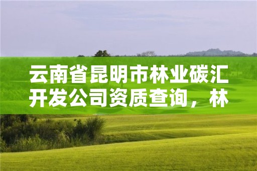 云南省昆明市林业碳汇开发公司资质查询,林业碳汇项目公司