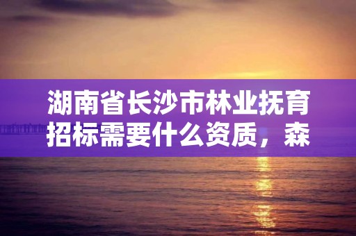 湖南省长沙市林业抚育招标需要什么资质，森林抚育经营
