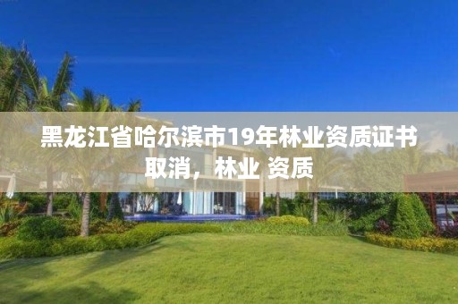 黑龙江省哈尔滨市19年林业资质证书取消,林业 资质