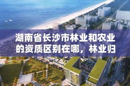 湖南省长沙市林业和农业的资质区别在哪，林业归农业农村局吗