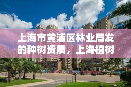 上海市黄浦区林业局发的种树资质,上海植树造林