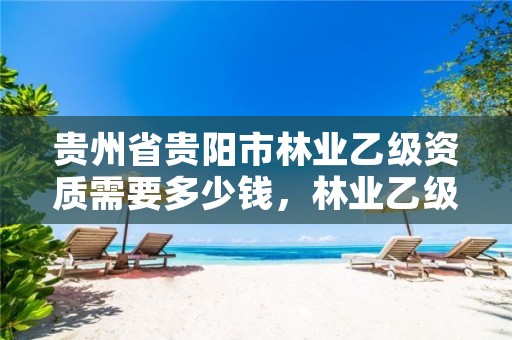 贵州省贵阳市林业乙级资质需要多少钱,林业乙级资质业务范围