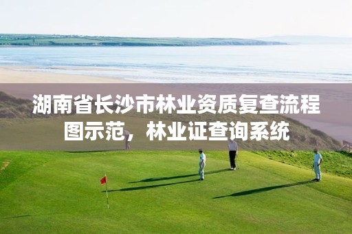 湖南省长沙市林业资质复查流程图示范，林业证查询系统
