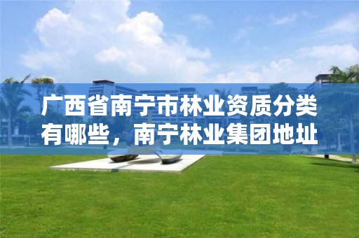 广西省南宁市林业资质分类有哪些，南宁林业集团地址