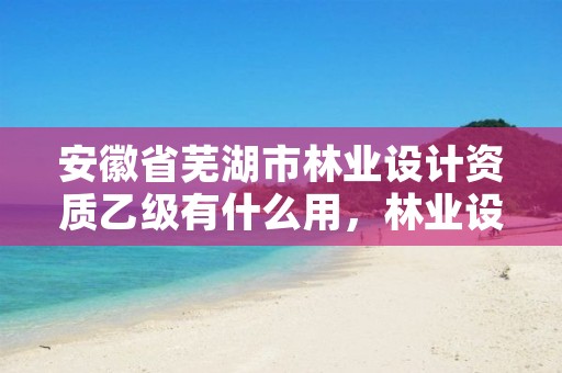 安徽省芜湖市林业设计资质乙级有什么用,林业设计甲级资质