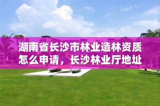 湖南省长沙市林业造林资质怎么申请，长沙林业厅地址