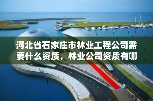 河北省石家庄市林业工程公司需要什么资质，林业公司资质有哪几个