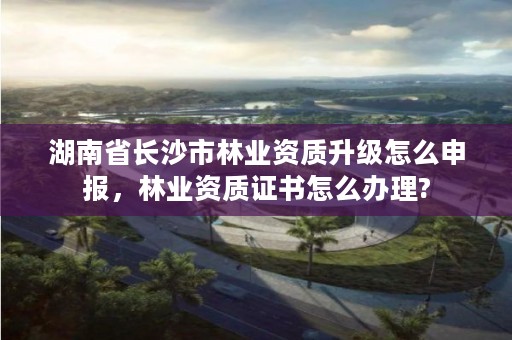 湖南省长沙市林业资质升级怎么申报，林业资质证书怎么办理?