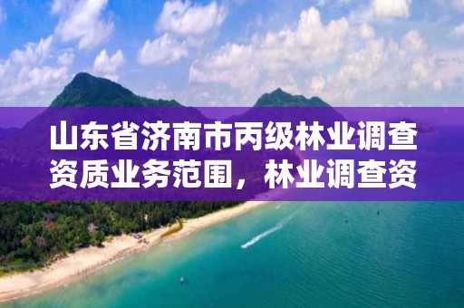 山东省济南市丙级林业调查资质业务范围,林业调查资质查询
