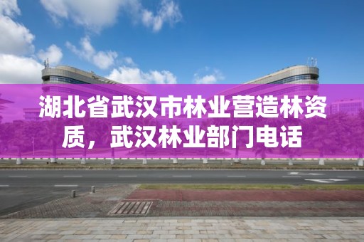 湖北省武汉市林业营造林资质,武汉林业部门电话